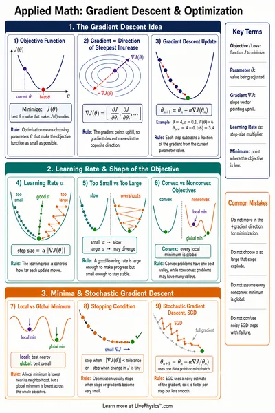 Gradient Descent & Optimization