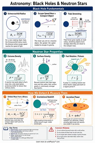 Black Holes & Neutron Stars