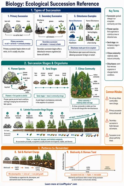 Ecological Succession Reference
