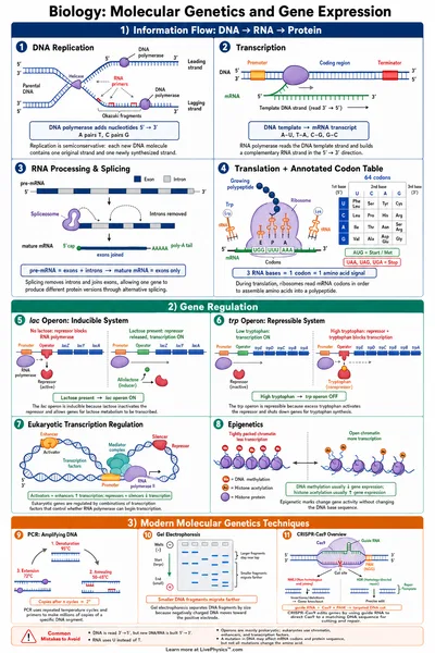Molecular Genetics and Gene Expression