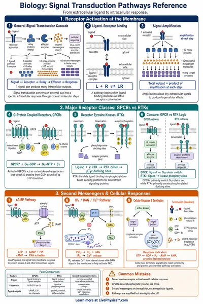 Signal Transduction Pathways Reference