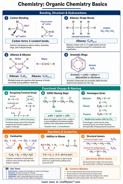 Organic Chemistry Basics