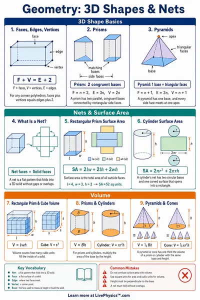 3D Shapes & Nets