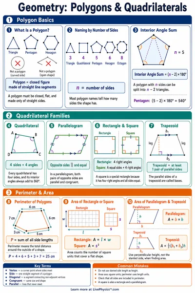 Polygons & Quadrilaterals