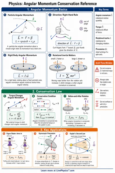 Angular Momentum Conservation Reference