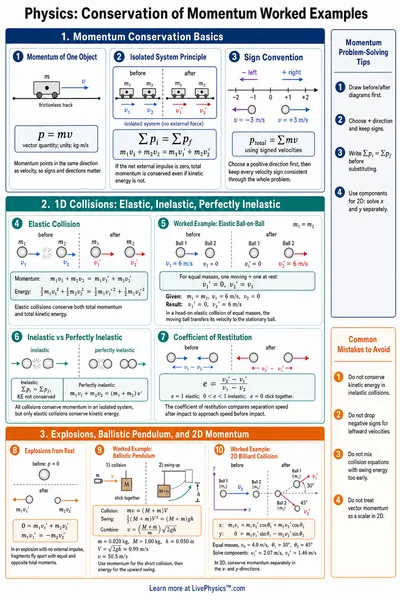 Conservation of Momentum Worked Examples