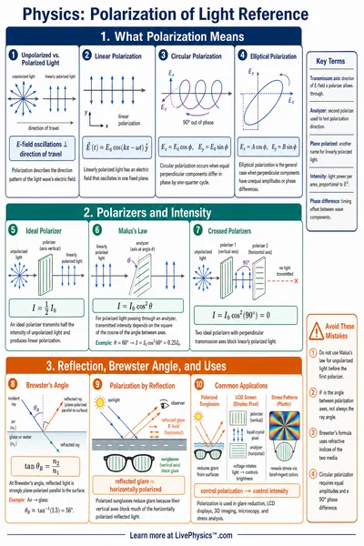 Polarization of Light Reference