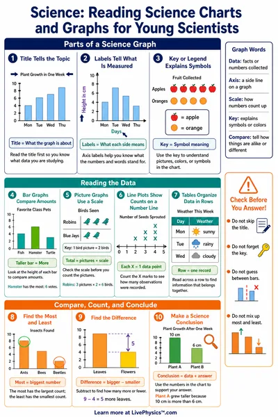 Reading Science Charts and Graphs for Young Scientists