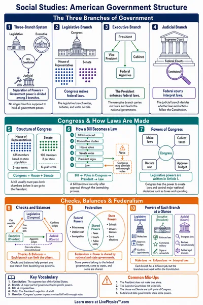American Government Structure