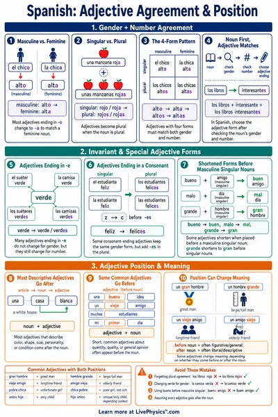 Adjective Agreement & Position