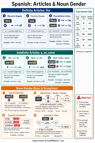Articles & Noun Gender