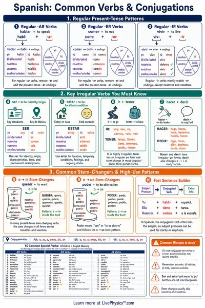 Common Verbs & Conjugations