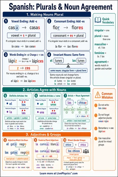 Plurals & Noun Agreement