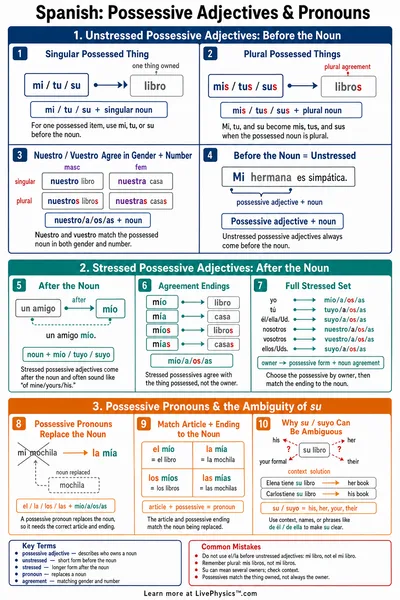 Possessive Adjectives & Pronouns