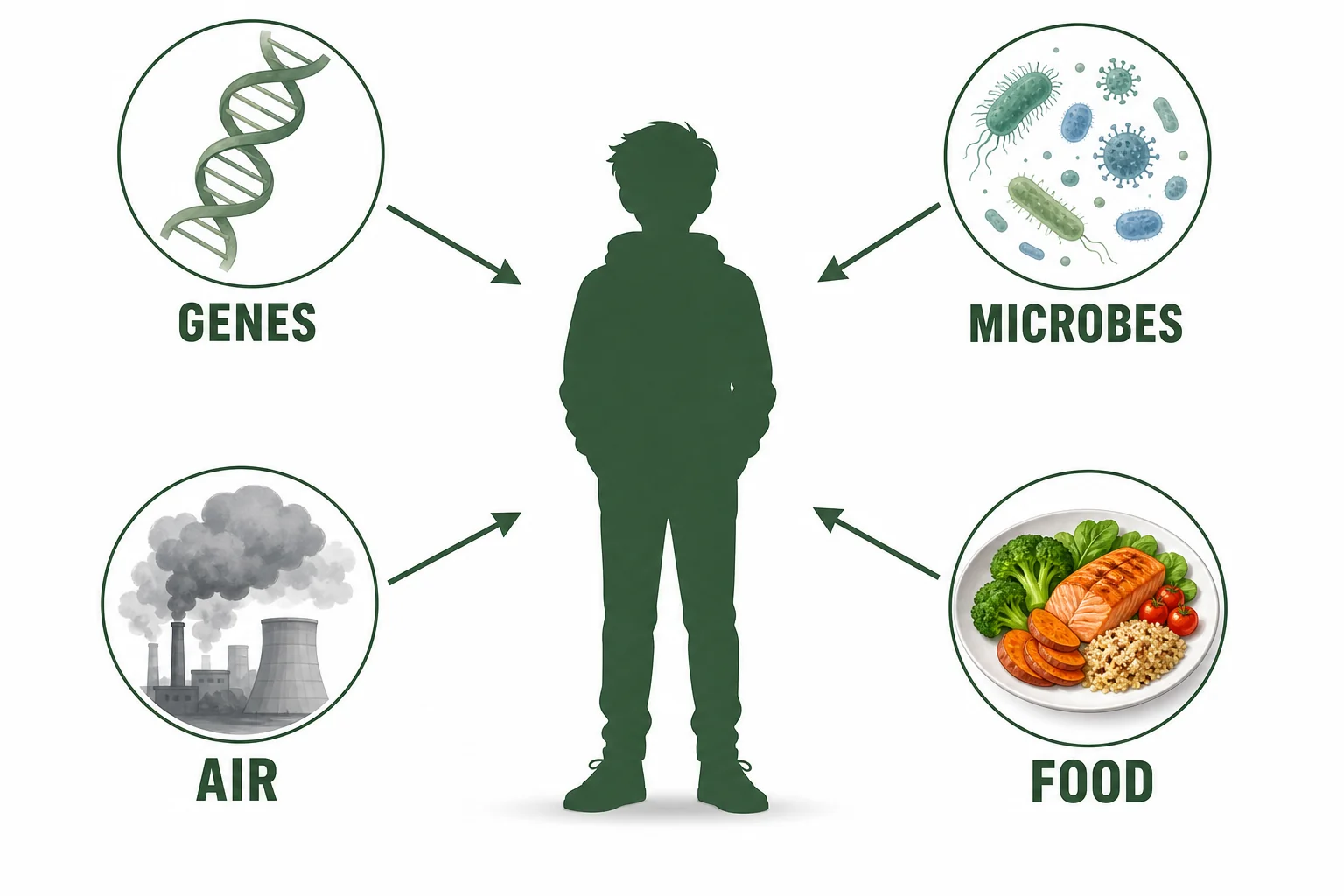 Factors that influence allergy risk, including genes, microbes, pollution, and food exposure