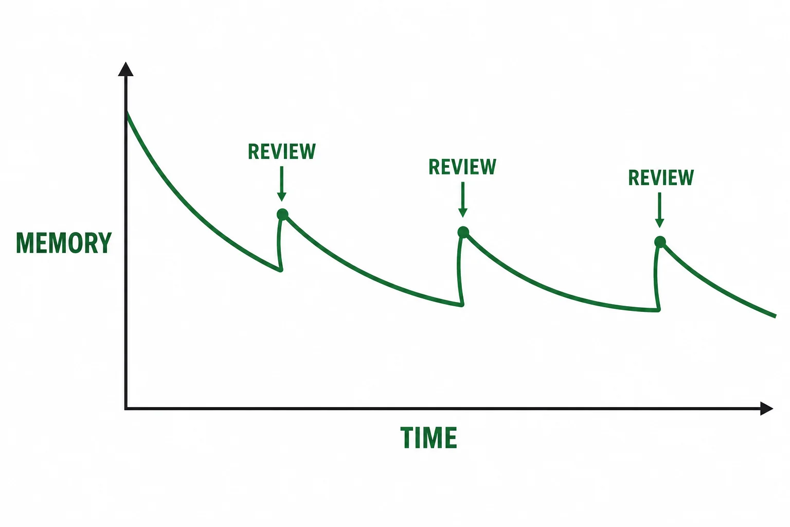 A simple graph of memory strength decreasing over time, with spaced review points lifting the curve.