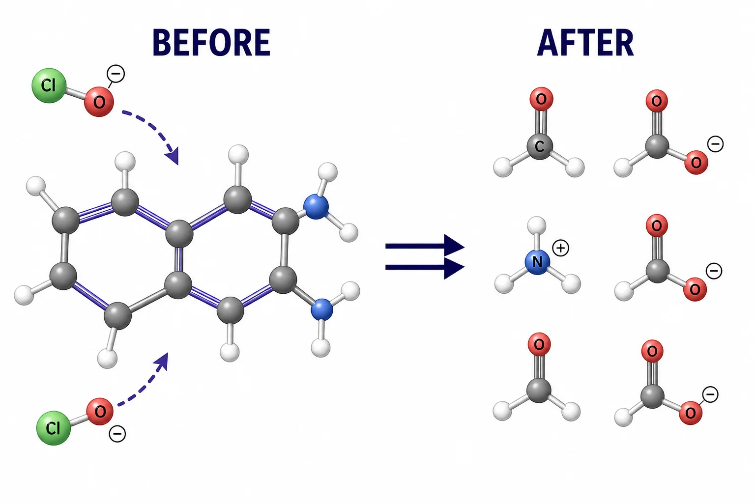 A colored organic molecule before bleaching and smaller colorless molecule fragments after oxidation