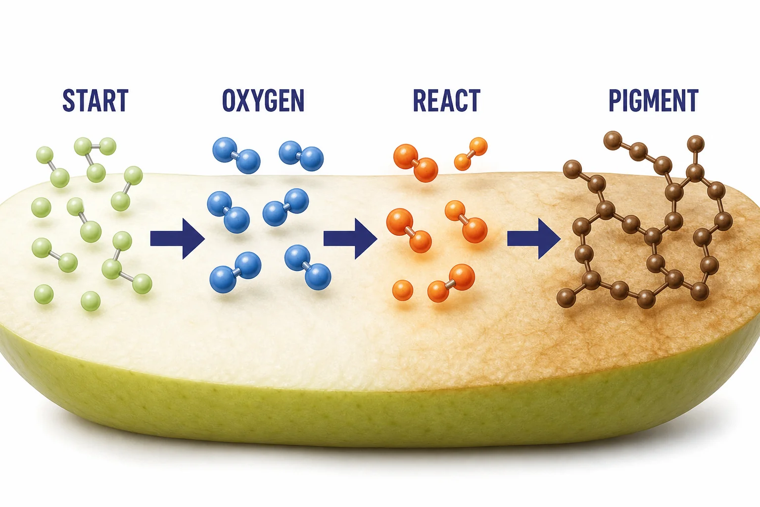 Reaction pathway showing oxygen changing pale fruit molecules into reactive molecules that combine into brown pigments.