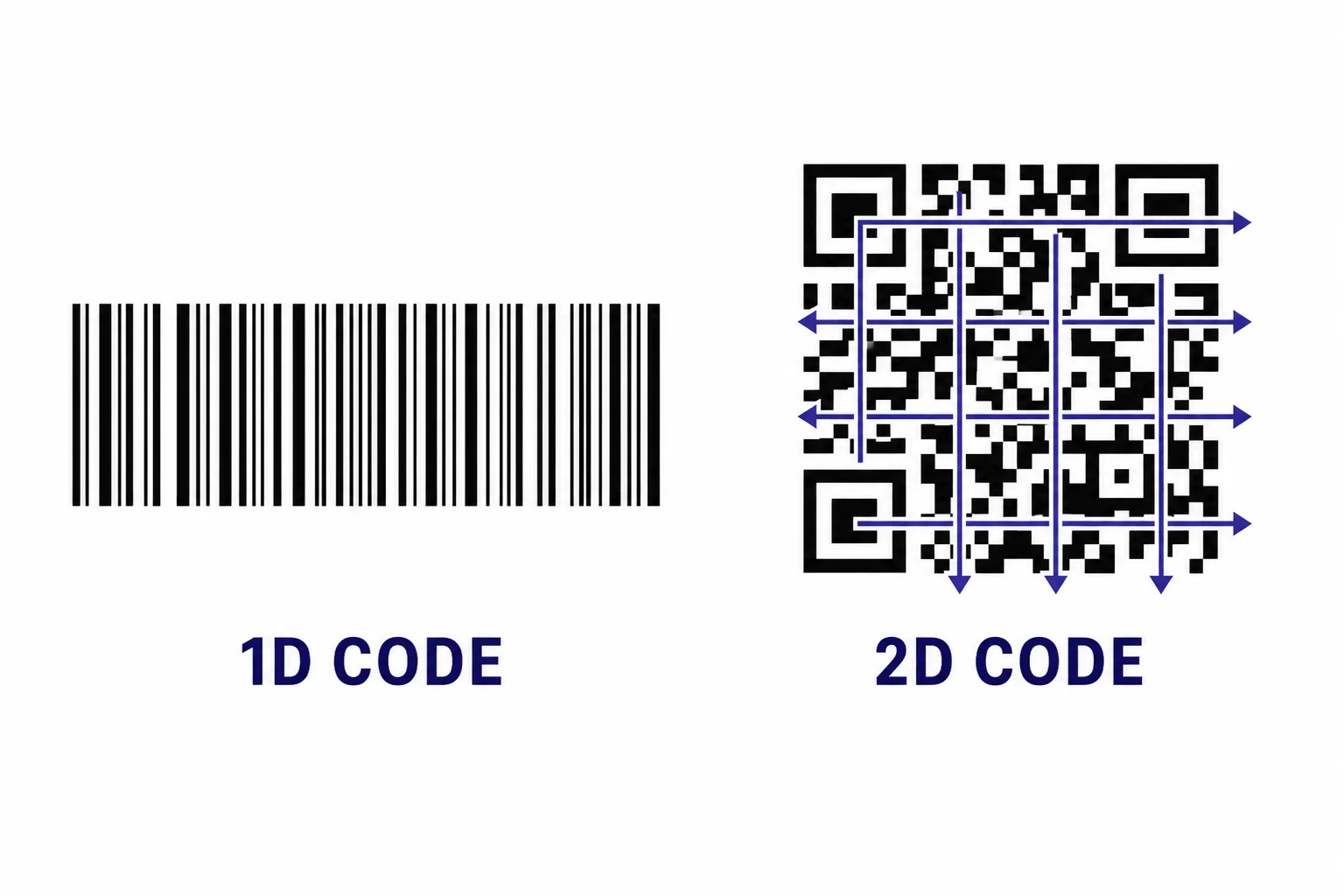 A comparison of a long one-dimensional barcode and a compact QR code showing that the QR code stores data across rows and columns