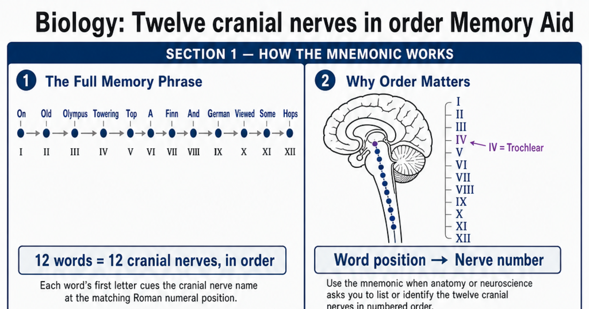 Twelve cranial nerves in order Memory Aid Cheat Sheet | LivePhysics™