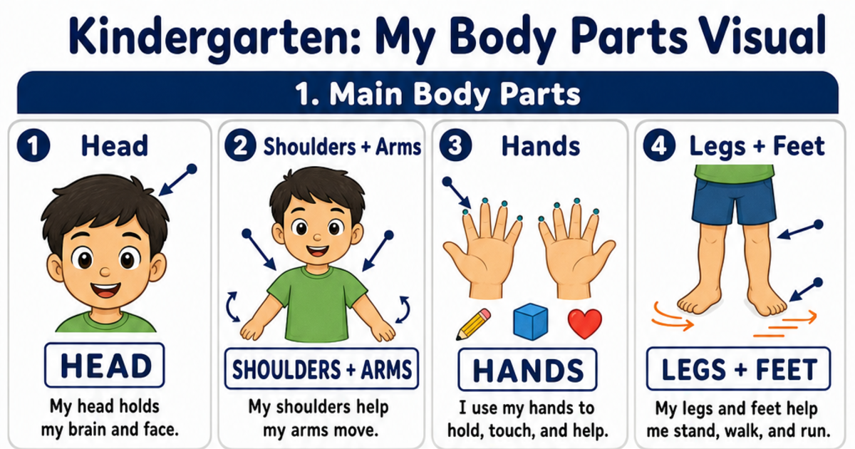 My Body Parts Visual Cheat Sheet | LivePhysics™
