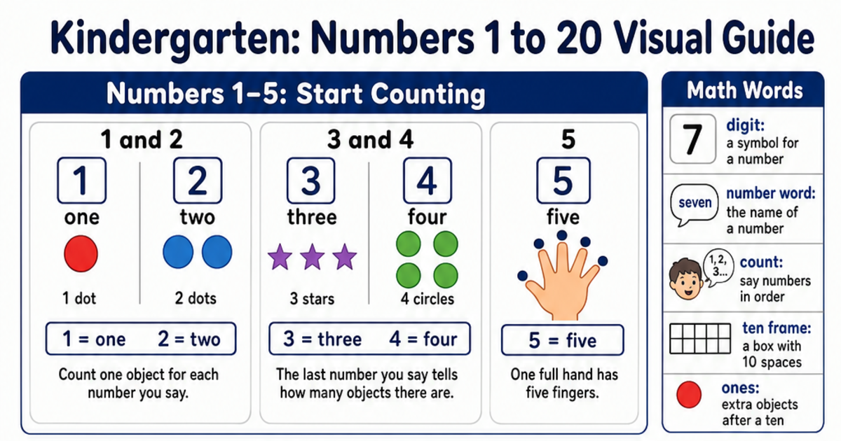 Numbers 1 to 20 Visual Guide Cheat Sheet | LivePhysics™