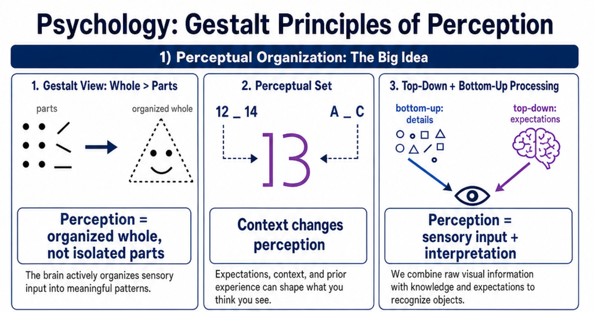 Gestalt Principles of Perception Cheat Sheet | LivePhysics™