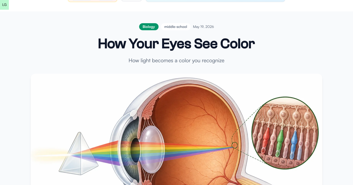 Seeing Color Es How Your Eyes See Color - LivePhysics