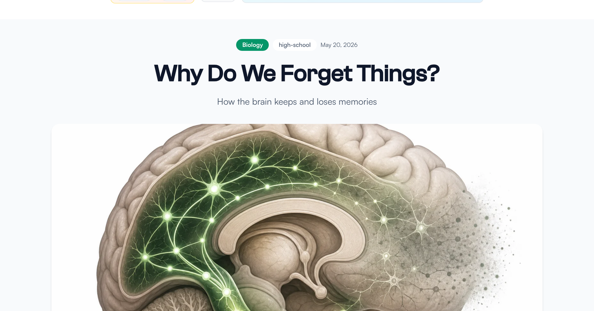 Why Do We Forget Things? - LivePhysics