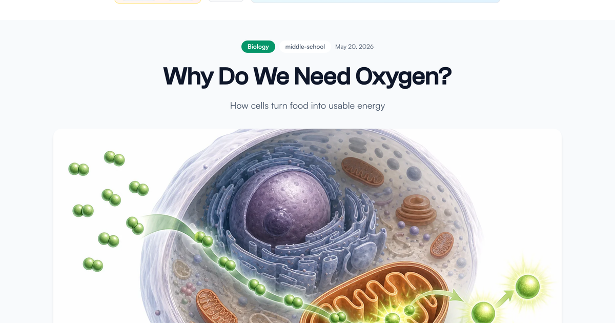 Why Do We Need Oxygen? - LivePhysics