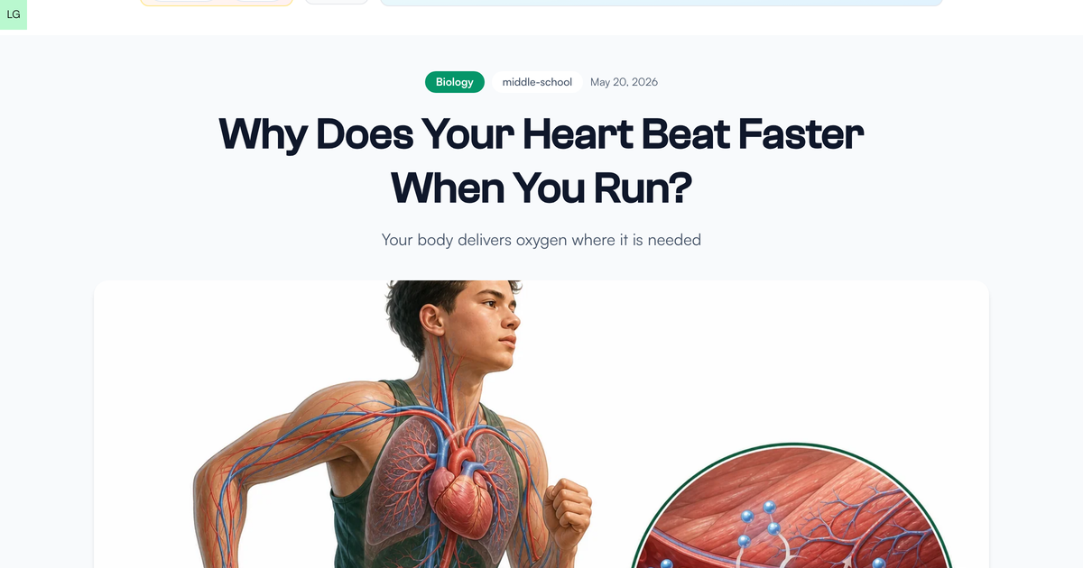 Why Does Your Heart Beat Faster When You Run? - LivePhysics