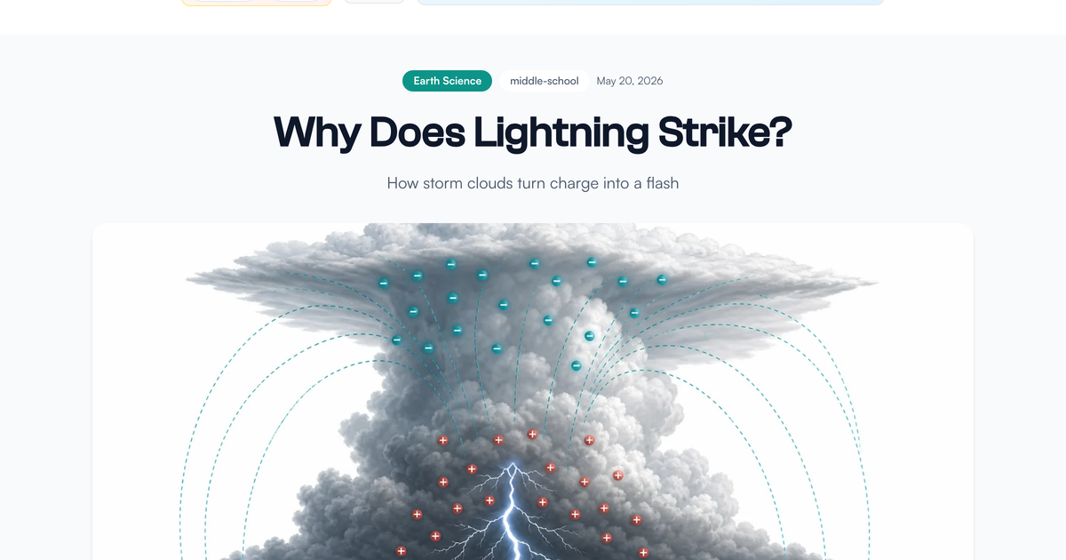 Why Does Lightning Strike? - LivePhysics