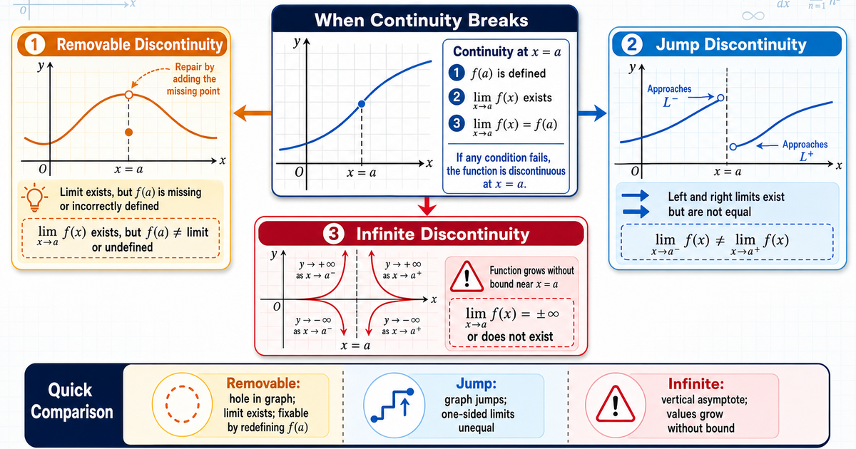 Calculus: Types of Discontinuity Infographic | LivePhysics™