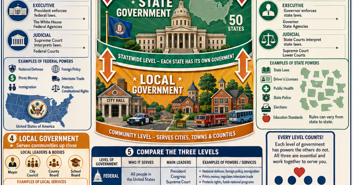 Local State Issue Federal, State, and Local Government Infographic | LivePhysics™
