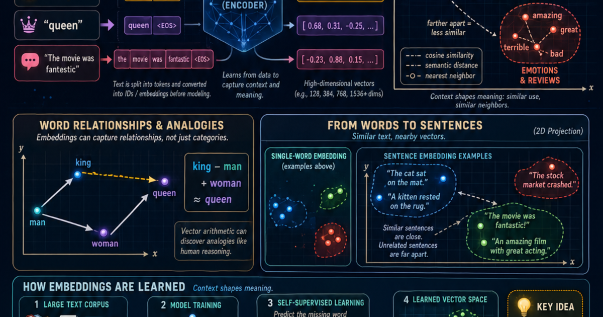 Embeddings Explained Infographic | LivePhysics™