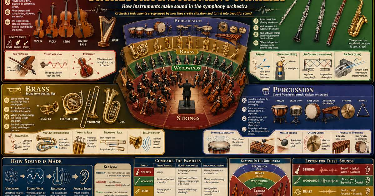 Orchestra Instrument Families Infographic | LivePhysics™