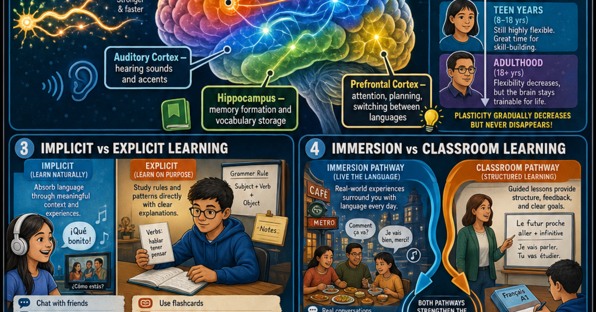 How the Brain Learns a New Language Infographic | LivePhysics™