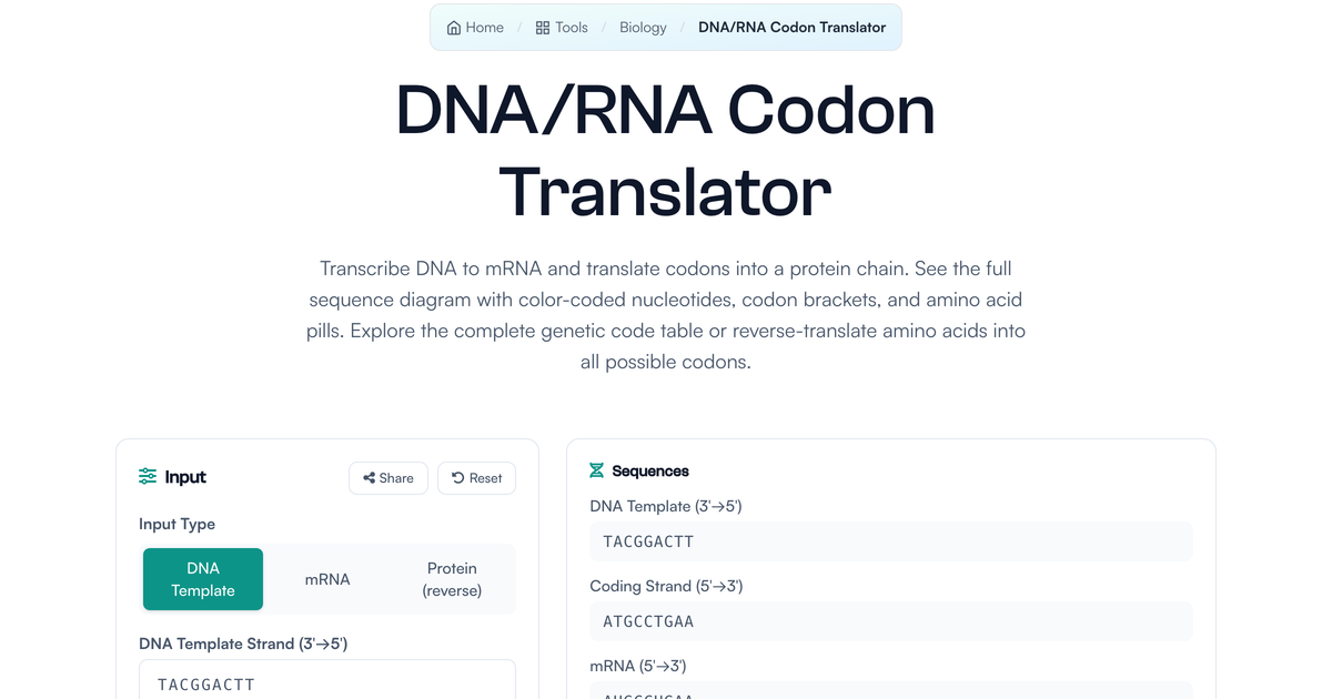 DNA/RNA Codon Translator | LivePhysics™