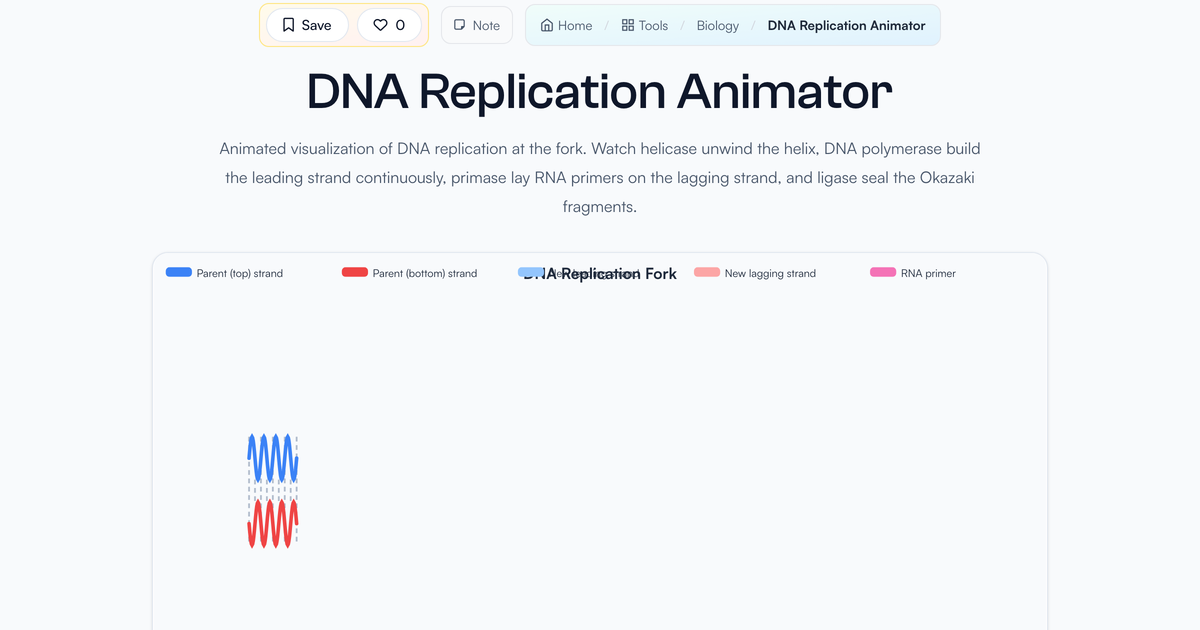 DNA Replication Animator | LivePhysics
