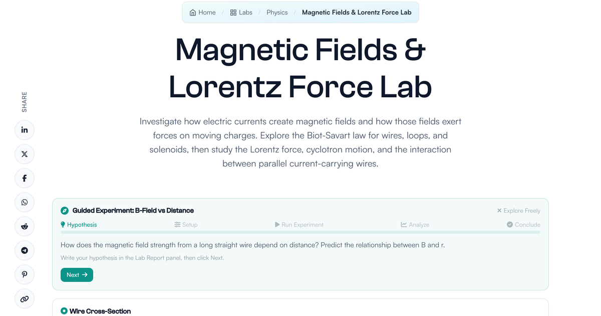 Magnetic Fields & Lorentz Force Lab | LivePhysics™