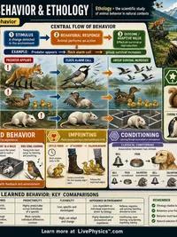 Biology: Animal Behavior and Ethology