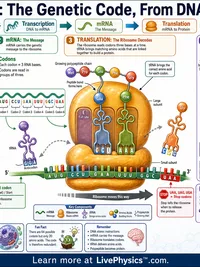 The Genetic Code