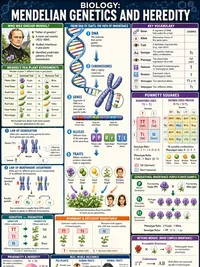 Genetics and Heredity