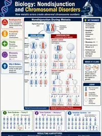 Biology: Nondisjunction and Chromosomal Disorders