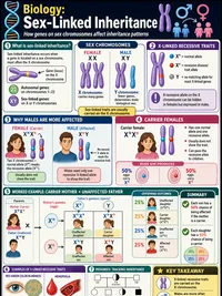 Biology: Sex-Linked Inheritance