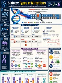 Biology: Types of Mutations