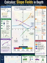 Calculus: Slope Fields in Depth
