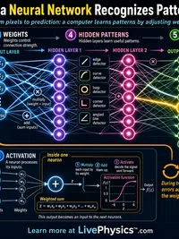 How a Neural Network Recognizes Patterns