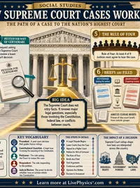 How Supreme Court Cases Work
