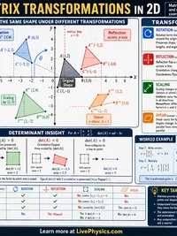 Matrix Transformations in 2D